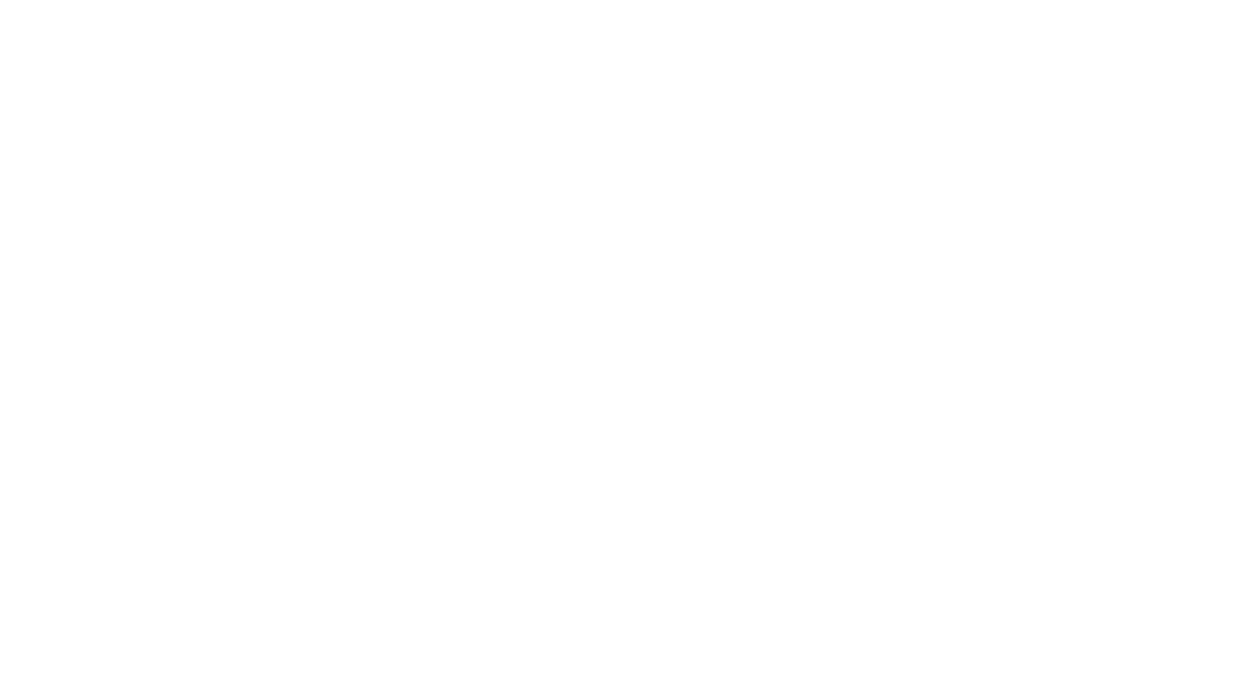 First Media logo